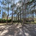 Apartment Andromeda B2